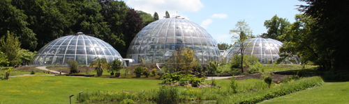 Frühlingsfest im Botanischen Garten